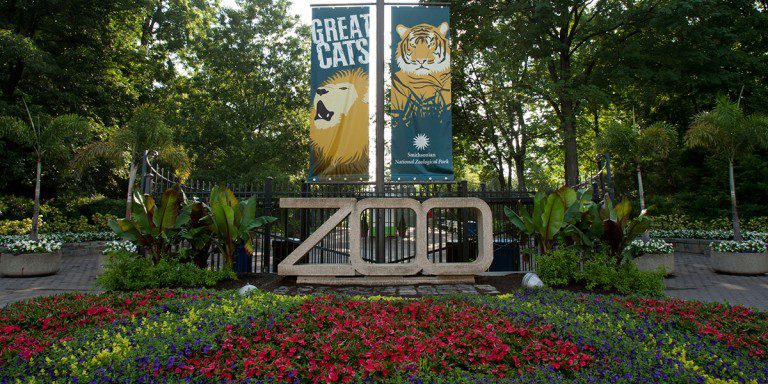 what time do the dc zoo close