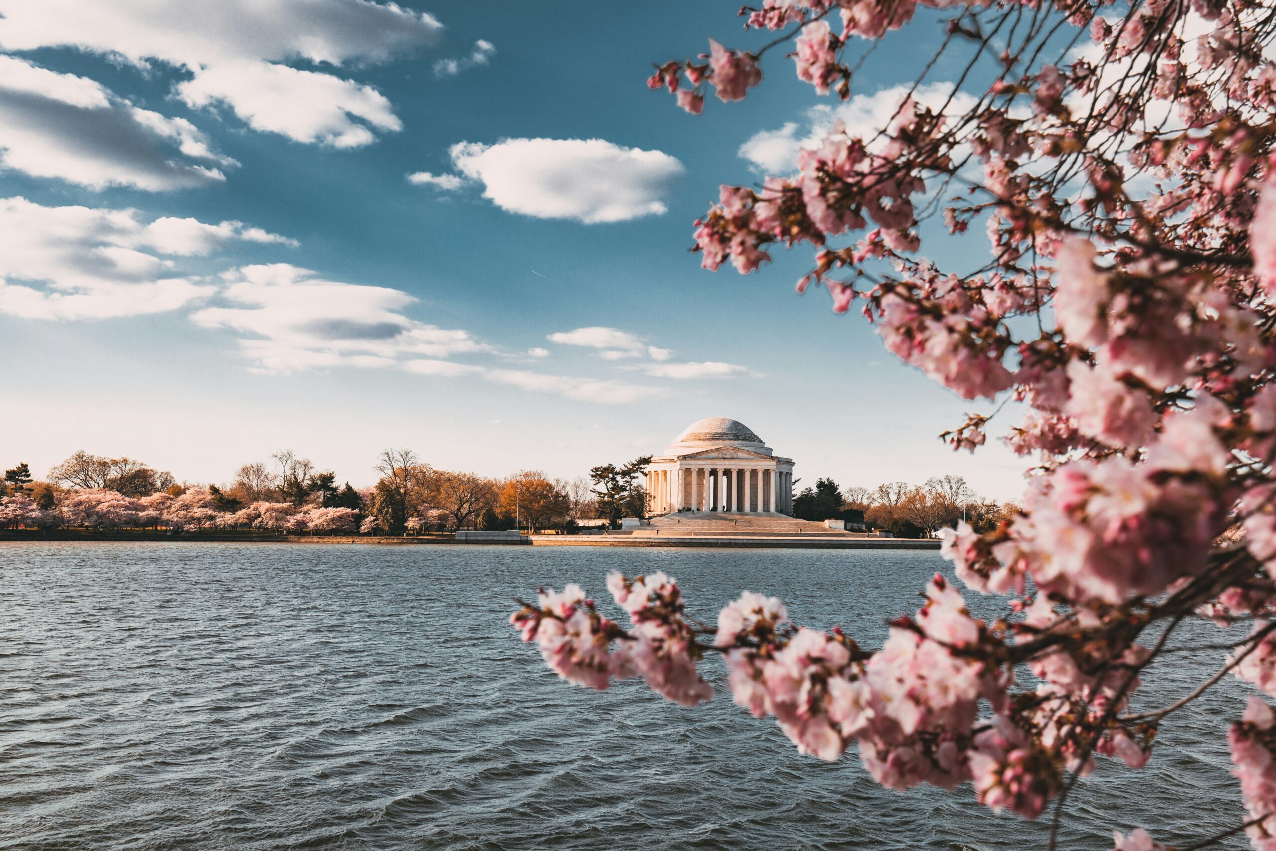 Cherry blossoms in the foreground with a domed monument across a body of water under a partly cloudy sky.