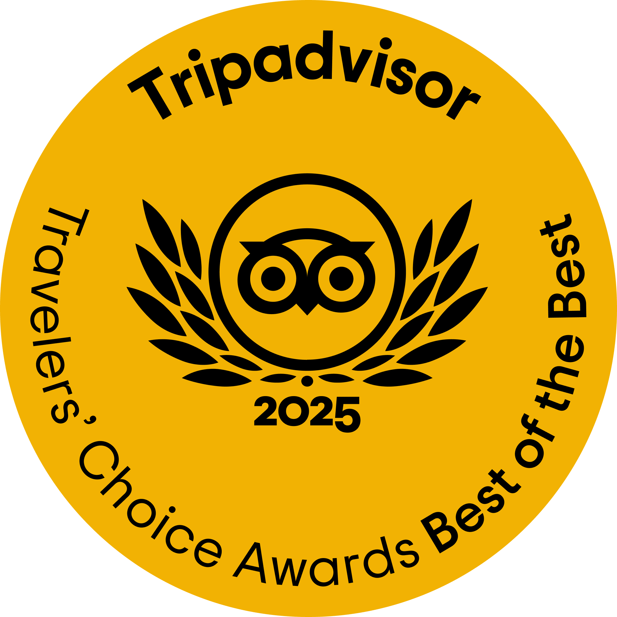 Tripadvisor 2025 Logo